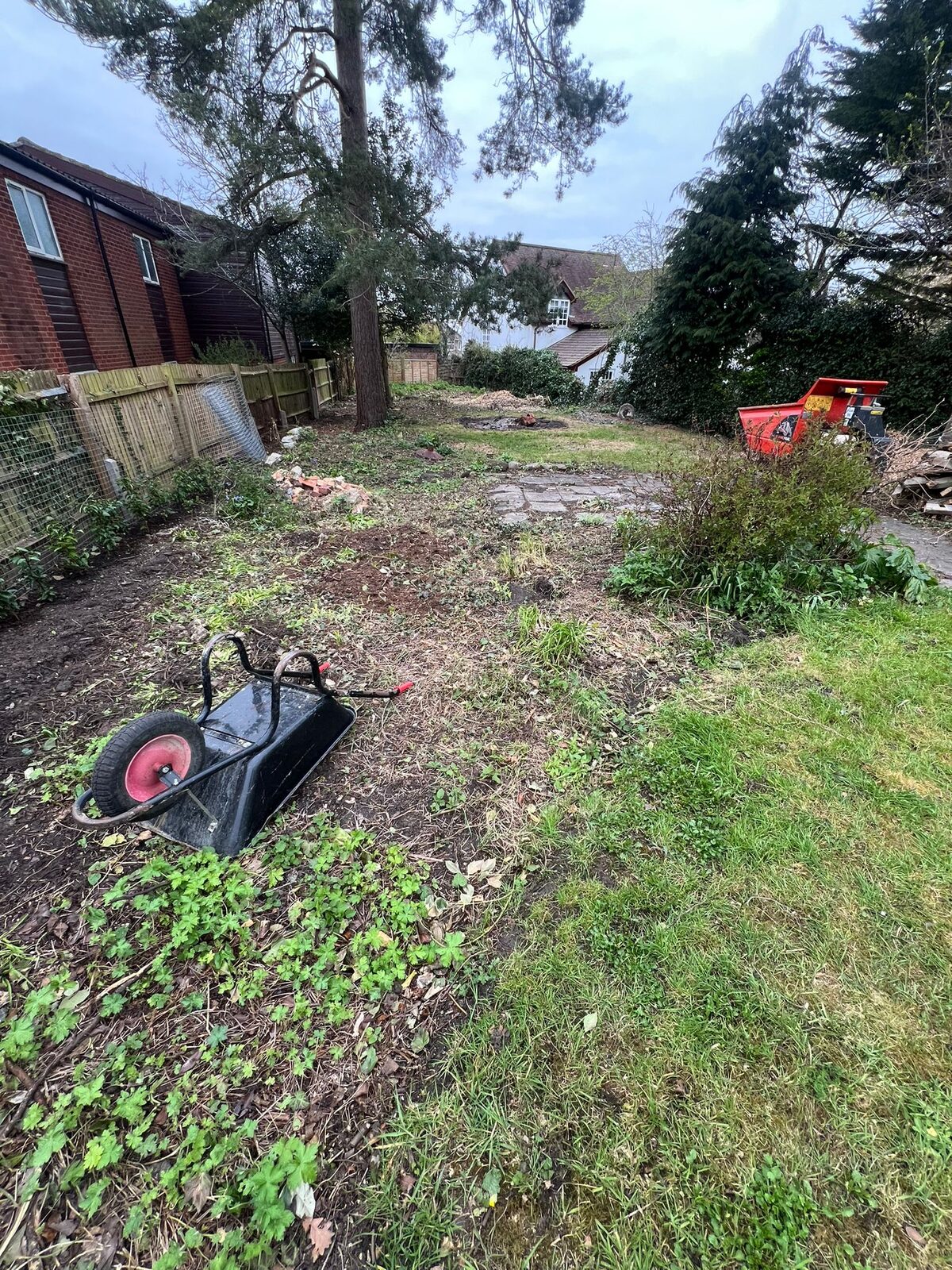 Overgrown garden being cleared