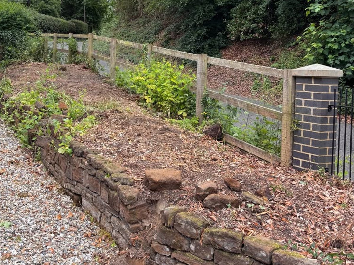 Overgrown bank with old stone retaining wall before removal