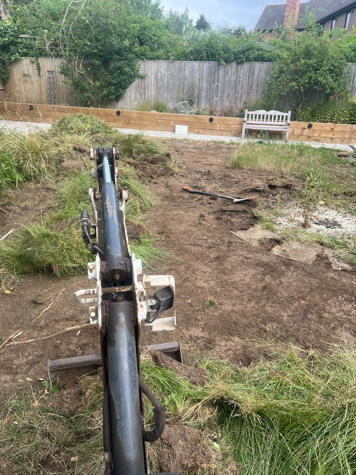 Overgrown garden before machine clearance